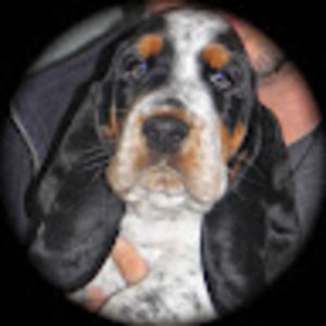 Meet your Posher, Meredith